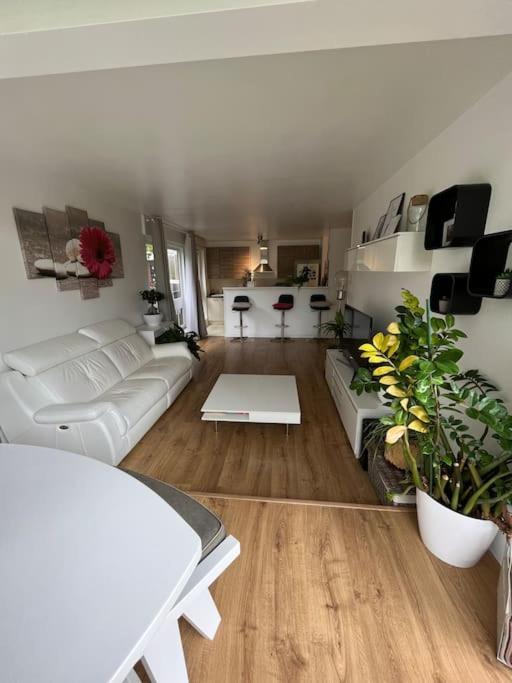 Appartement 55 M2 Le Chesnay Le Chesnay  Kültér fotó
