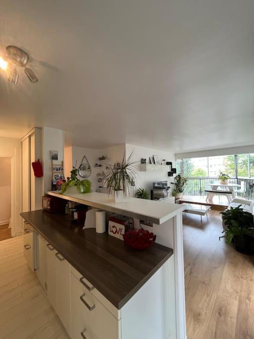 Appartement 55 M2 Le Chesnay Le Chesnay  Kültér fotó
